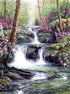 Pink Flowers & Beautiful Waterfall
